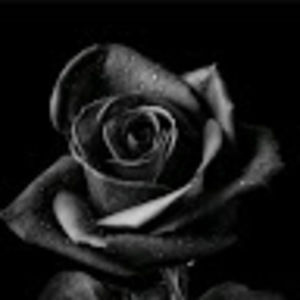 Meet your Posher, Black